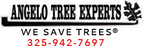 Angelo Tree Experts Logo